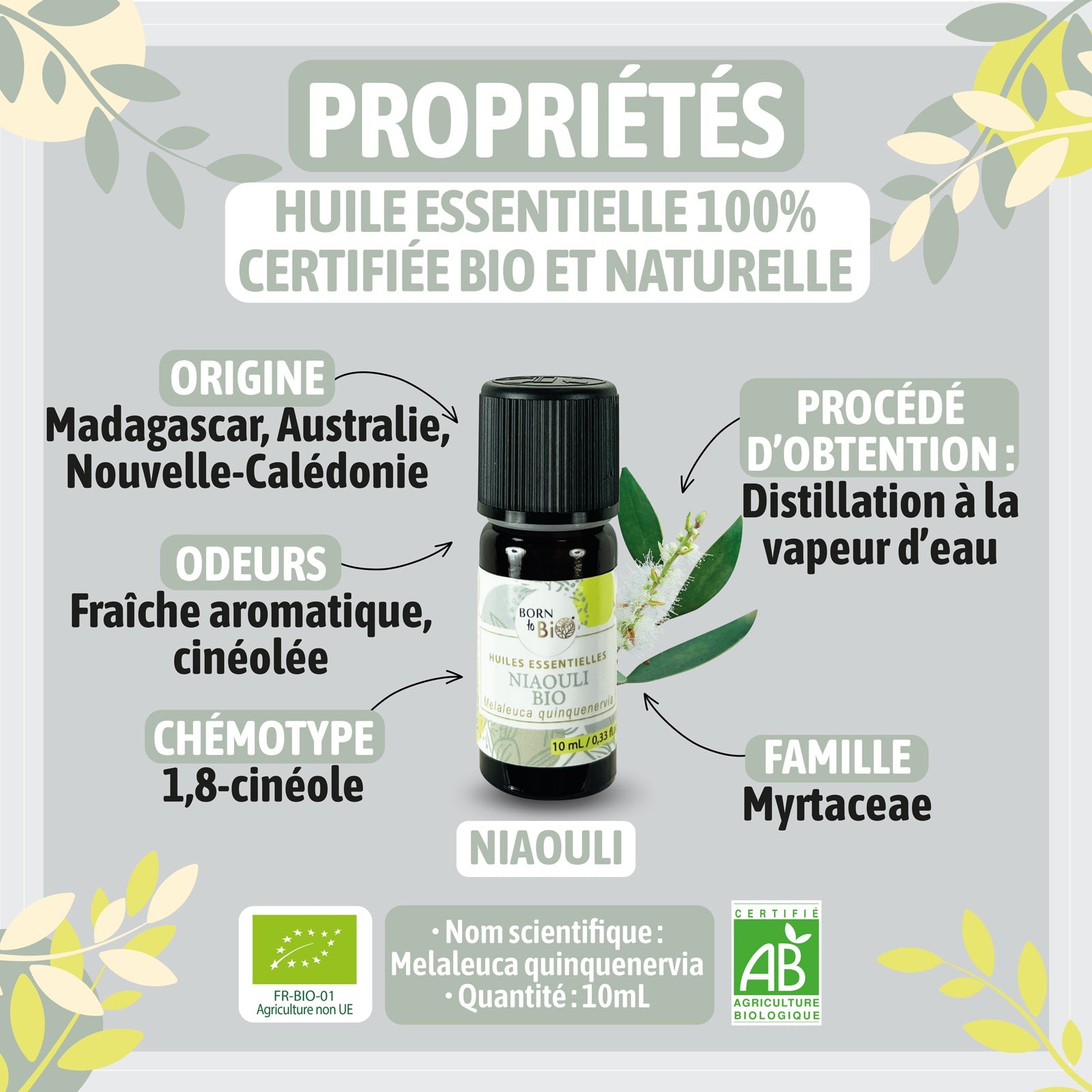 Huile essentielle Niaouli Certifiée Bio-1