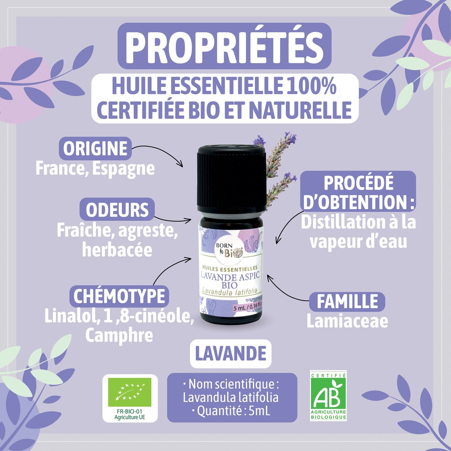 Huile essentielle Lavande Aspic Certifiée Bio-2