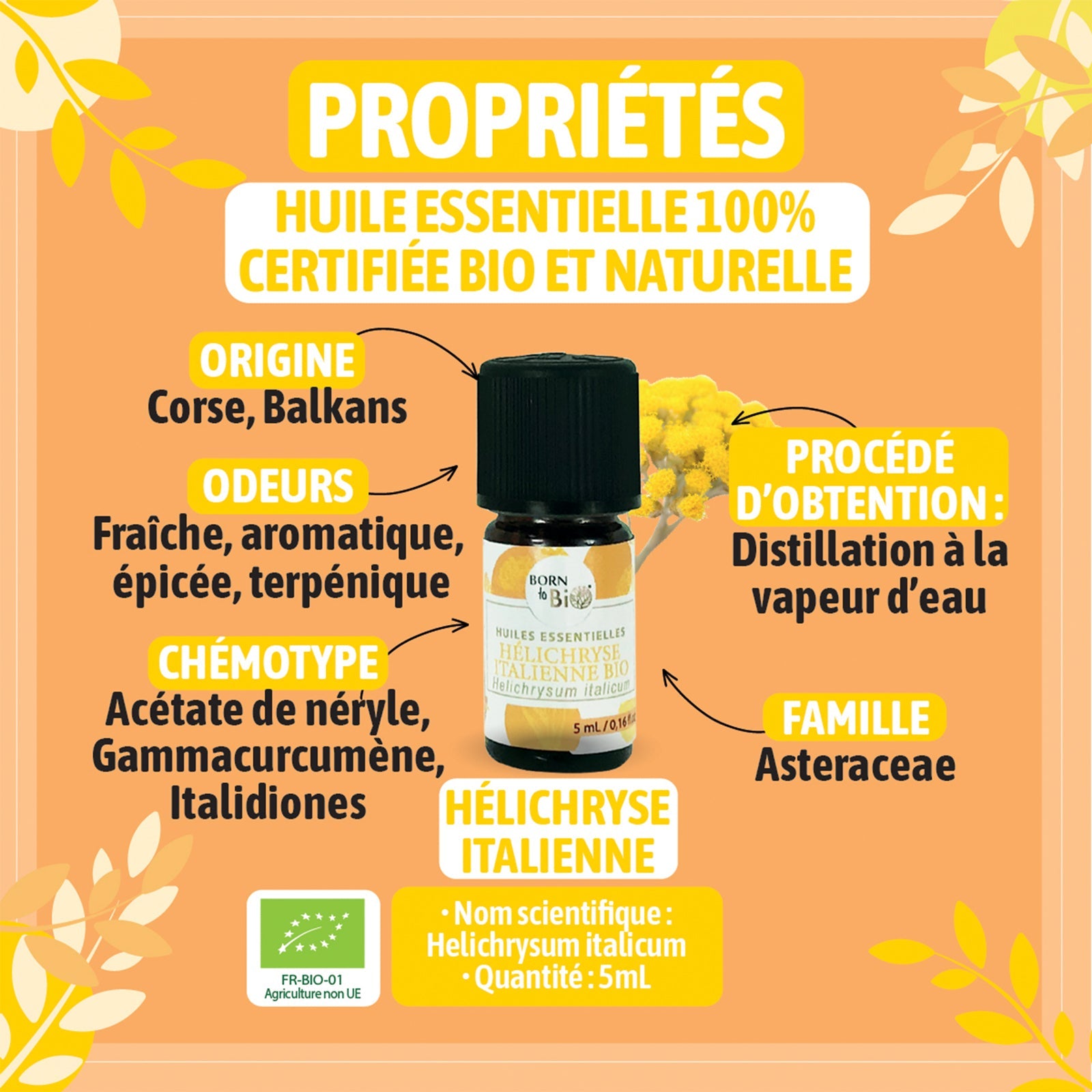 Huile essentielle Hélichryse italienne Certifiée Bio-1