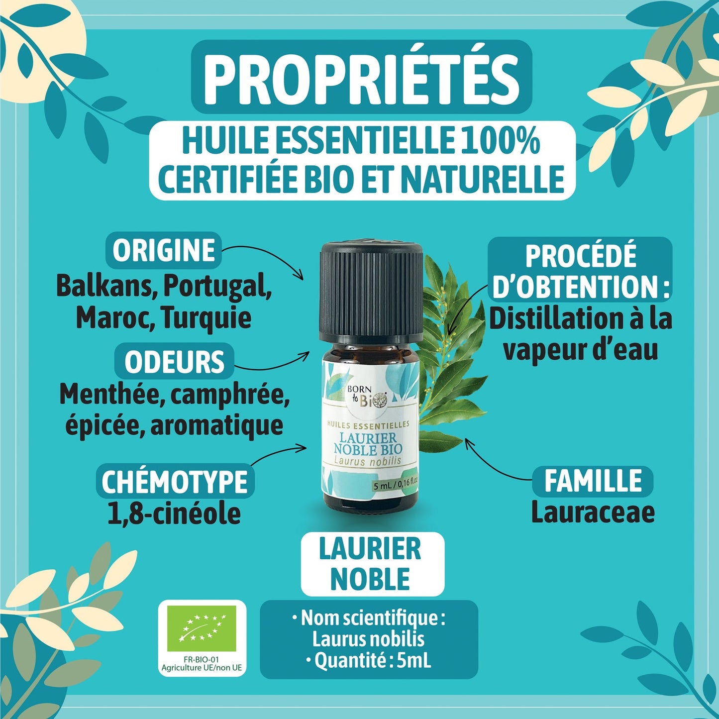 Huile essentielle Laurier noble Certifiée Bio-1